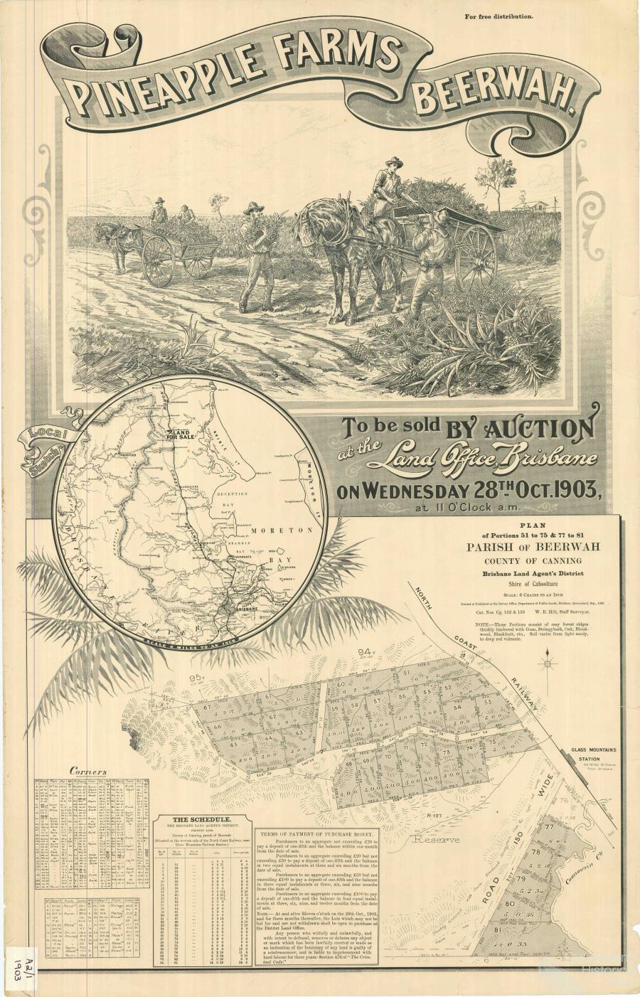 Pineapple farms, Beerwah, 1903 Queensland Historical Atlas